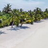 Maldives, Gaafu, Maamutaa island, beach, palms