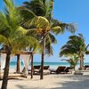 Мексика, Юкатан, Пляж Исла-Холбокс, пальмы
