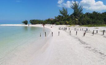 Mexico, Yucatan, Isla Holbox beach, water edge