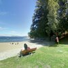 Norway, Ingierstrand beach, bench