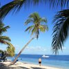 Philippines, Malapascua, Bounty beach, palms