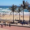 South Africa, Durban, Golden Mile Beach, palms