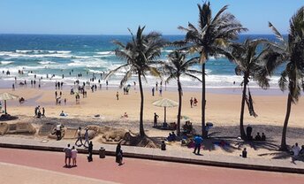 South Africa, Durban, Golden Mile Beach, palms