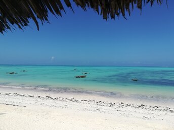 Tanzania, Zanzibar, Jambiani beach