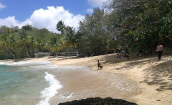 Tobago, Arnos Vale beach, water edge