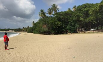 Tobago, Great Courland Bay beach, car parking