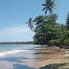 Brazil, Boipeba, Tassomirim beach, trees & palms