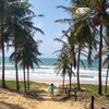 Brazil, Imbassai beach, pathway
