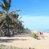 Brazil, Imbassai beach, sunbeds