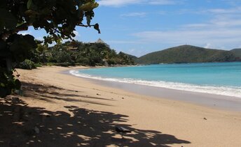 BVI, Virgin Gorda, Mahoe Bay beach, view to south