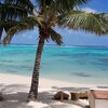 Cook Islands, Rarotonga, Little Polynesian Resort beach, palms