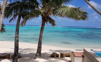 Cook Islands, Rarotonga, Little Polynesian Resort beach, palms