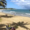 Доминикана, Пляж Кабарет, в тени пальмы
