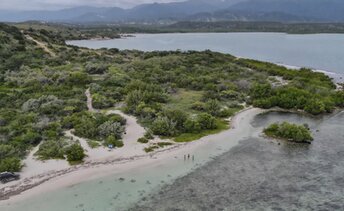 Dominicana, Playa Blanca beach, aerial view