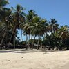 Dominicana, Playa Cambiaso beach, palms