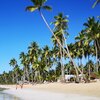 Dominicana, Playa Coson beach, palms