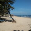 Dominicana, Playa Costambar beach, trees