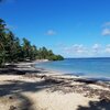 Доминикана, Пляж Плайя-Эль-Анклон, водоросли