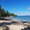 Dominicana, Playa El Anclon beach, algae