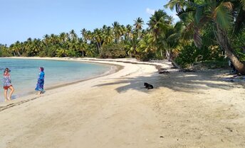 Dominicana, Playa El Anclon beach, palms