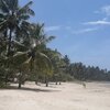 Dominicana, Playa Estillero beach, palms