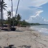 Dominicana, Playa la Ermita beach, palms