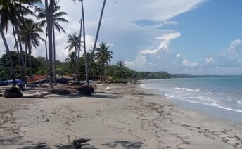 Dominicana, Playa la Ermita beach, palms