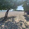 Доминикана, Пляж Плайя-Лос-Негрос, деревья и автомобили
