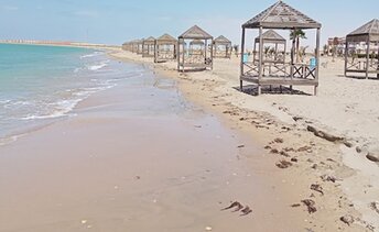 Egypt, Abo Redis beach, huts