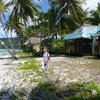 French Polynesia, Huahine, Sofitel Heiva beach, palms