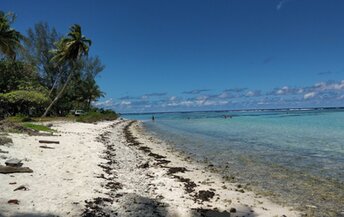 French Polynesia, Huahine, Sofitel Heiva beach, water edge