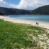 Japan, Amami Oshima, Kuninao beach, ivy