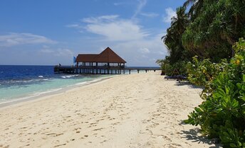 Maldives, Gaafu, Funamadua island, beach