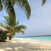 Maldives, Gaafu, Funamadua island, beach, tiki hut