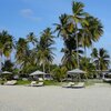 Maldives, Gaafu, Huvadhoo island, palms