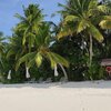 Maldives, Gaafu, Maguhdhuvaa island, beach