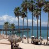 Mexico, La Paz, Playa El Coromuel beach, palms