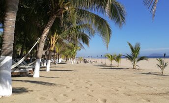 Mexico, Playa Larga Zihuatanejo beach, palms