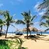 Mexico, Puerto Escondido, Playa Zipolite beach, palms