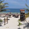 Mexico, Yucatan, Playa Puerto Morelos beach, palms