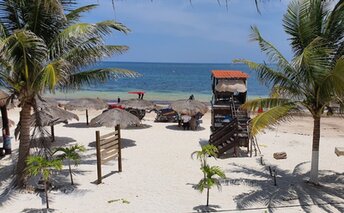 Mexico, Yucatan, Playa Puerto Morelos beach, palms