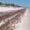 Mexico, Yucatan, Playa Puerto Morelos beach, water edge