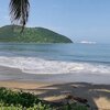 Mexico, Zihuatanejo bay, Barra de Potosi beach, palm shade