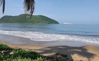 Mexico, Zihuatanejo bay, Barra de Potosi beach, palm shade