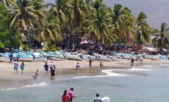 Mexico, Zihuatanejo beach, palms