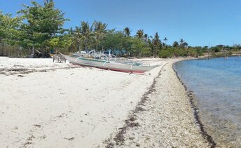 Philippines, Malapascua, Kabatangan beach, water edge