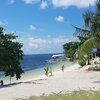 Филиппины, Малапаскуа, Пляж Трешер-бич, дерево и пальма