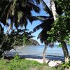 Сейшелы, Маэ, Пляж Анс-Буало, пальмы и деревья
