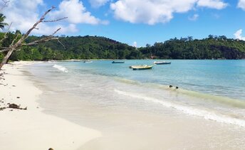 Seychelles, Mahe, Anse Boileau beach, white sand