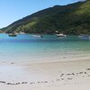 Seychelles, Mahe, Maya beach, water edge